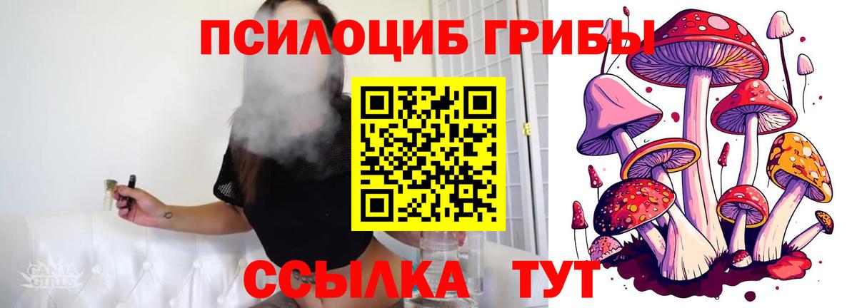 Псилоцибиновые грибы мицелий Новороссийск